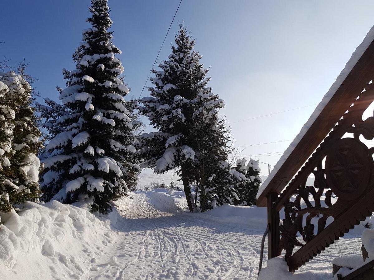 Antonowka Villa Trybsz Exterior photo